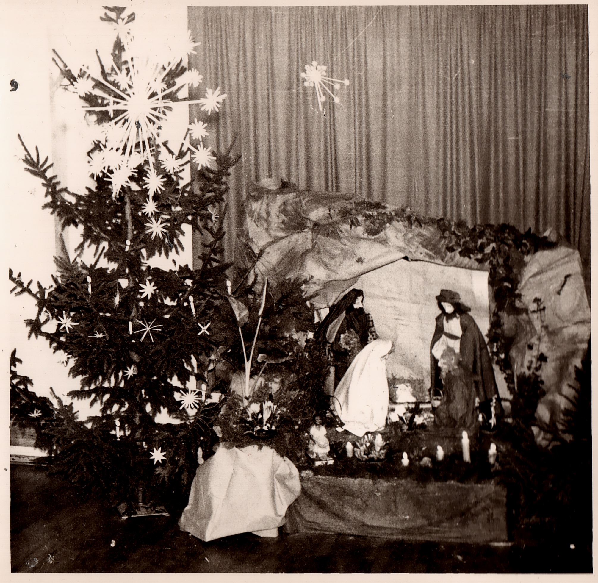 Zum weißen Rössel;